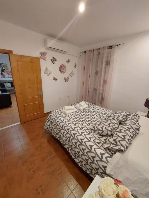 Apartamento Santa Maria 카디스 외부 사진